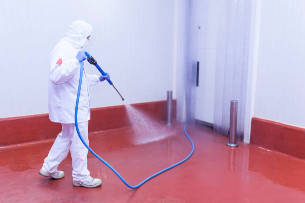 Best Building Exterior Washing  in Irwin, PA